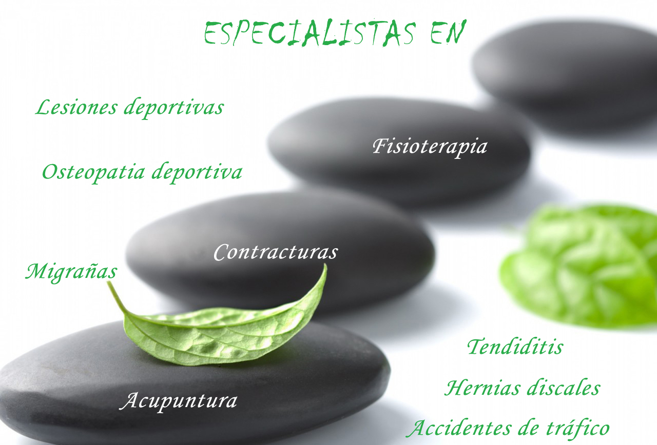 pmfisioterapia