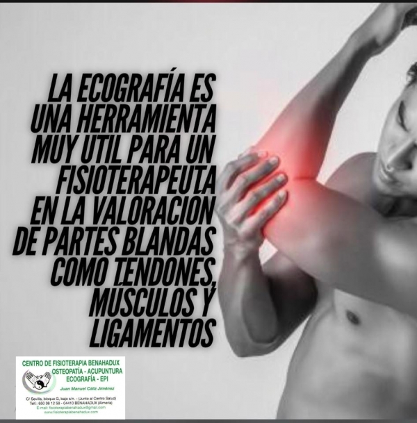 ECOGRAFIA INFOGRAFIA
