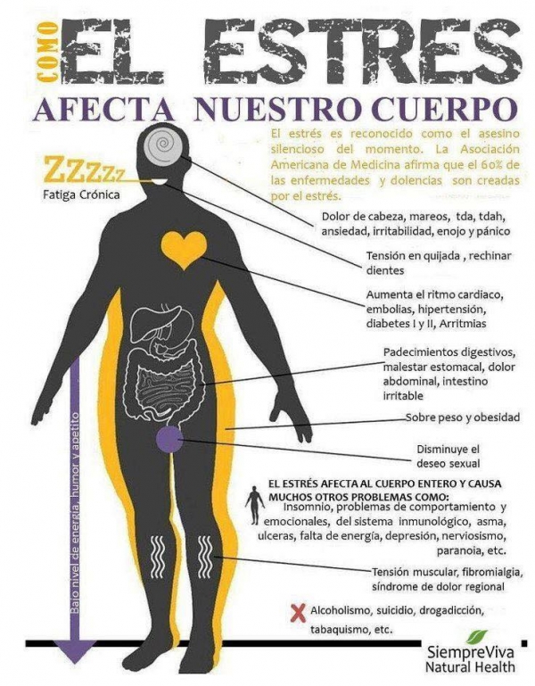 COMO AFECTA EL STRESS A NUESTRO CUERPO