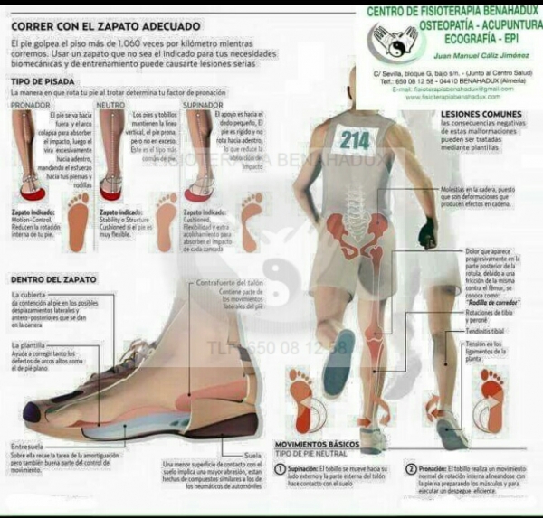 INFOGRAFIA CALZADO PARA CORRER