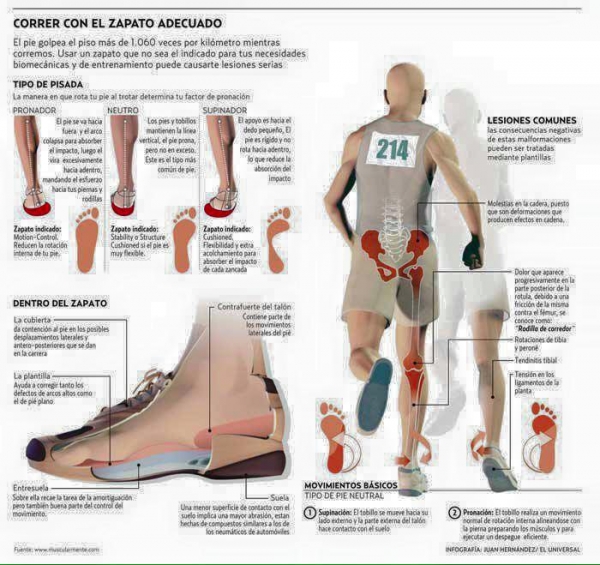 INFOGRAFIA ¿QUE ZAPATILLAS DEBO USAR PARA CORRER?